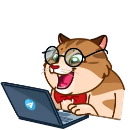 Memes With Cats